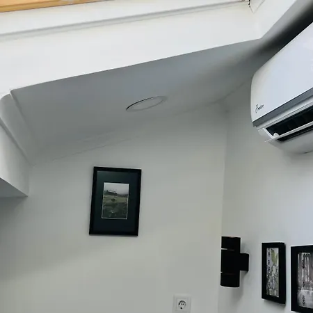 ホームステイ Pensamento Inedito 55